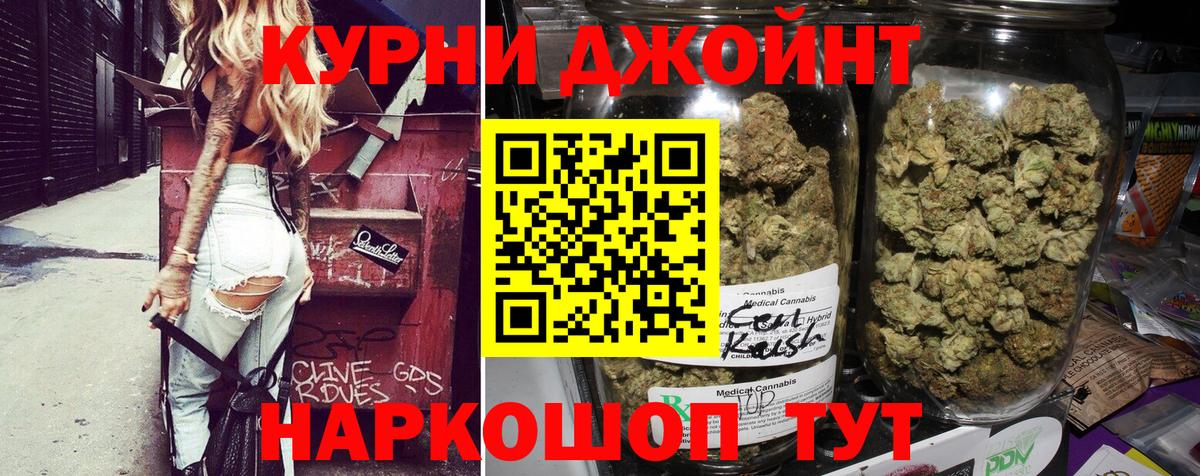 МЕФ Великий Новгород
